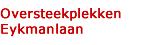 Oversteekplekken Eykmanlaan